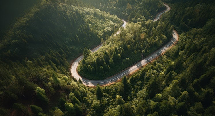 Aerial view of a winding road in the forest.