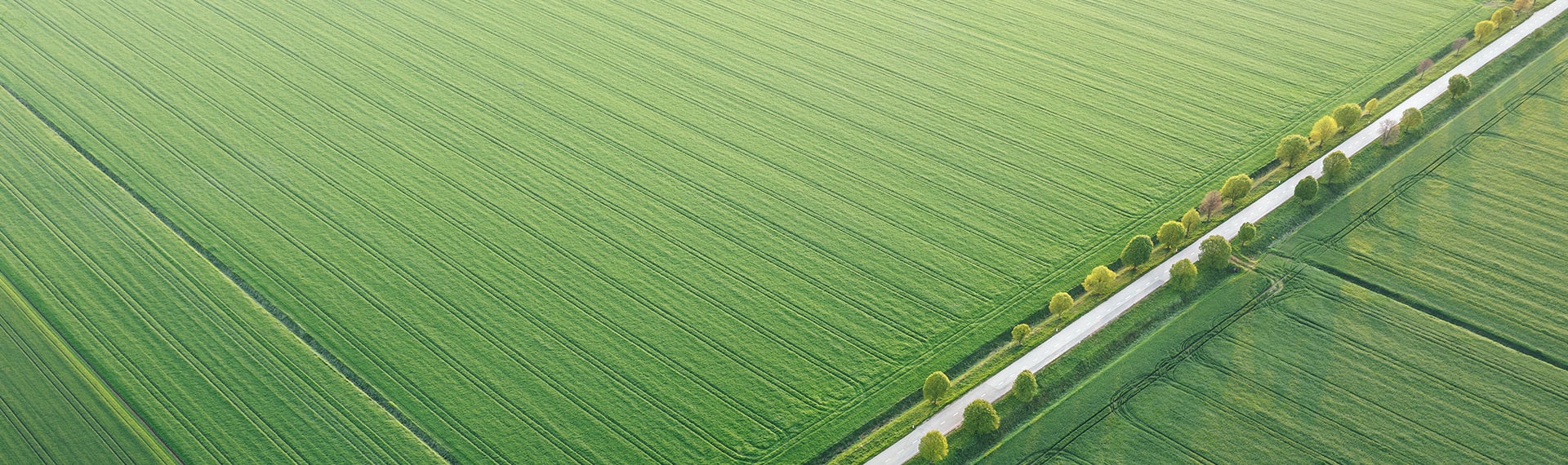 An aerial view of a green field and a road.