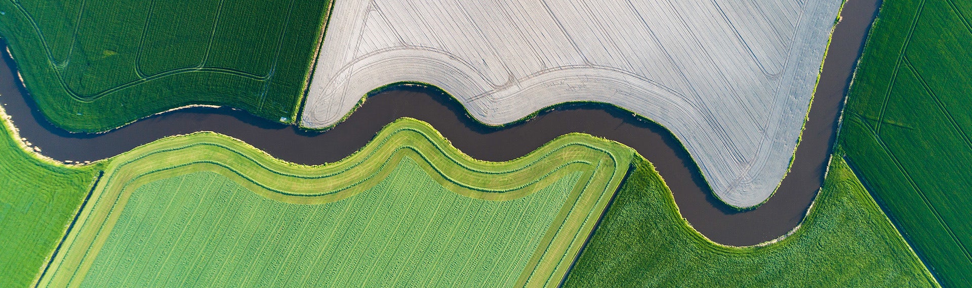 A green field with a river running through it.