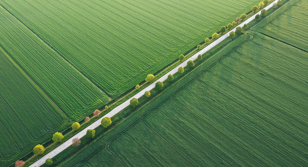 An aerial view of a green field with a road in the middle.
