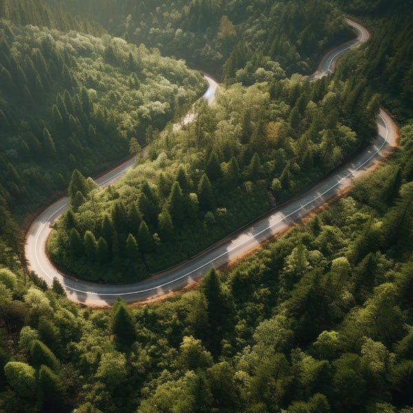 Aerial view of a winding road in the forest.