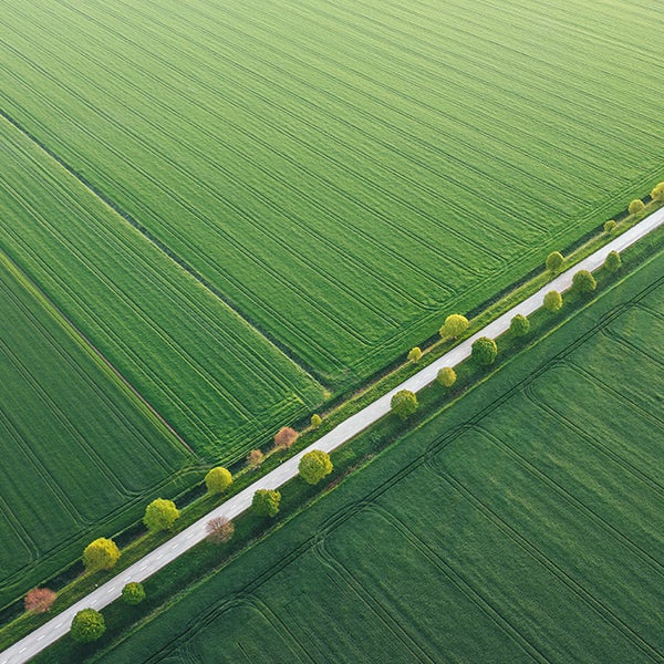An aerial view of a green field with a road running through it.