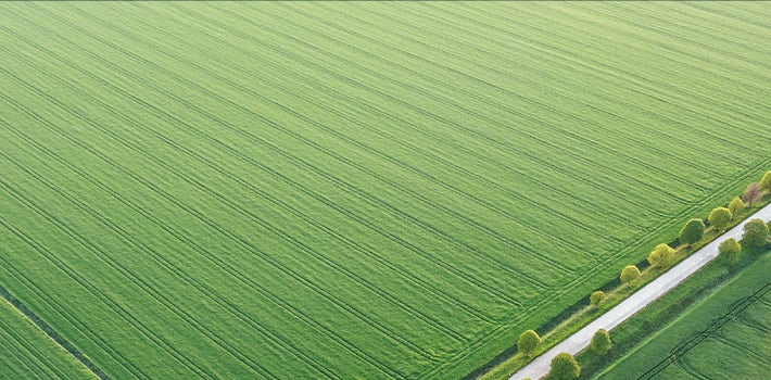 An aerial view of a green field and a road.