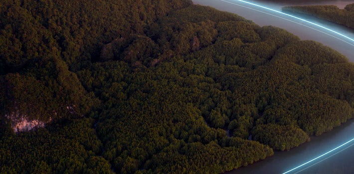 An aerial view of a forest and a river.