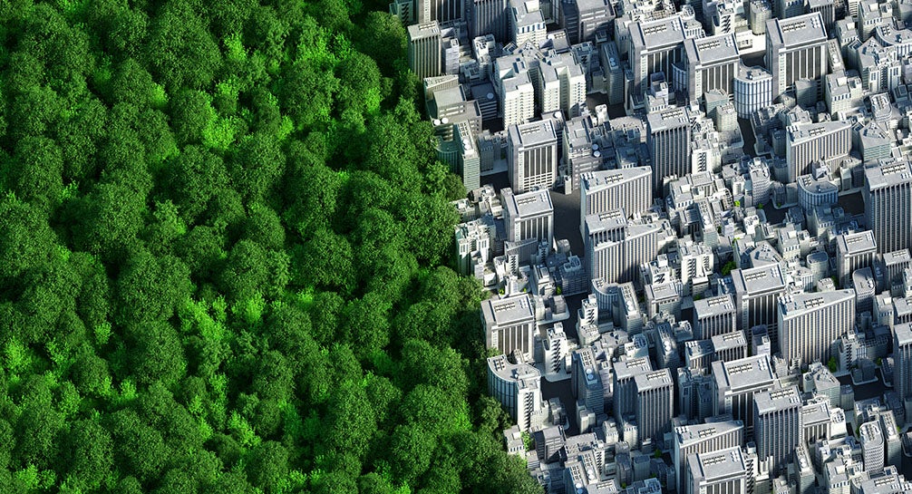 An image of a city with trees in the background.