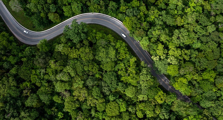 An aerial view of a winding road in a green forest.